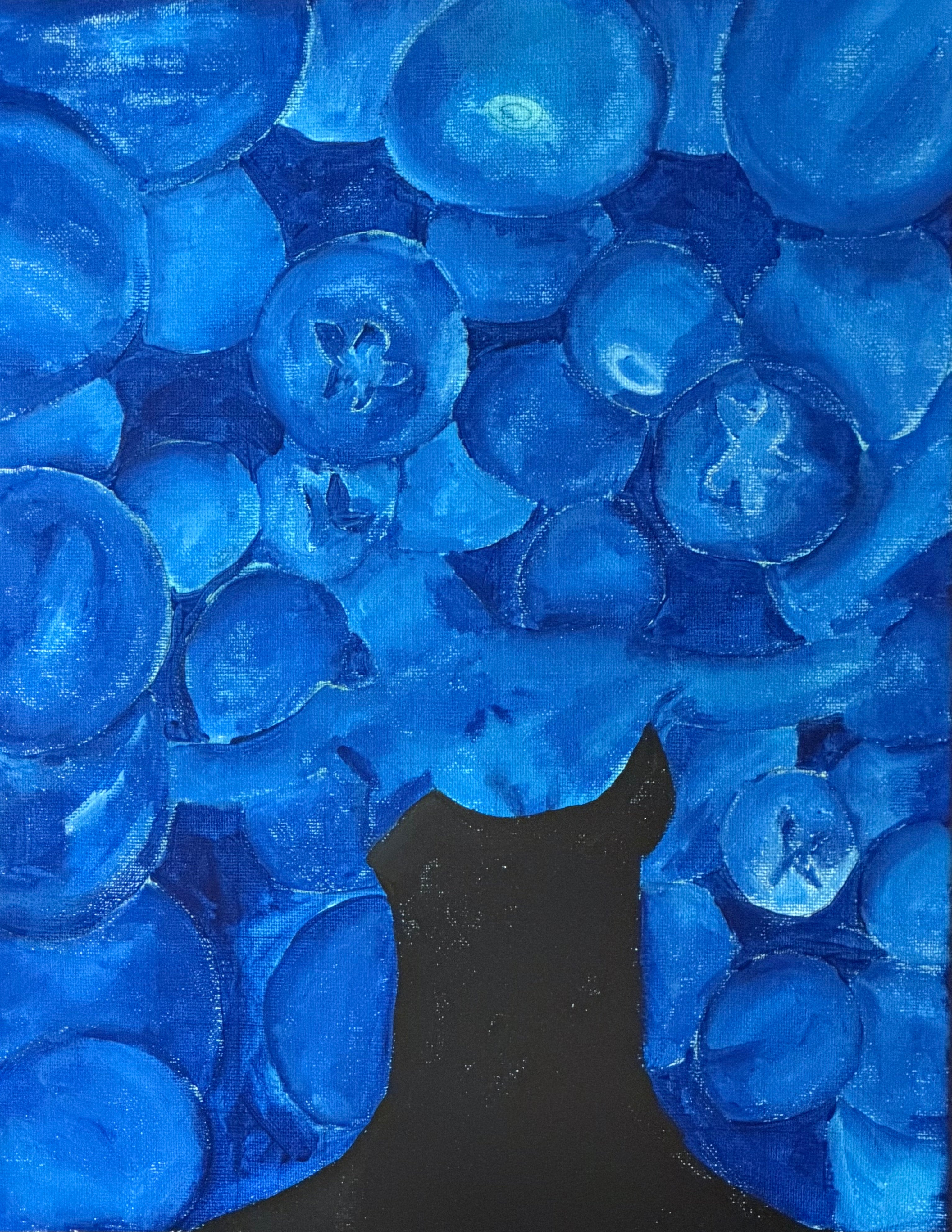 Blueberry Dream ✨🫐